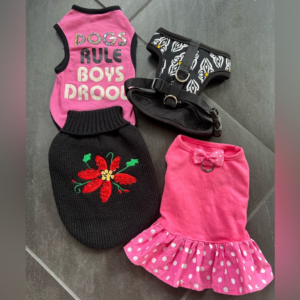 XS Dog Clothes & Harness Bundle